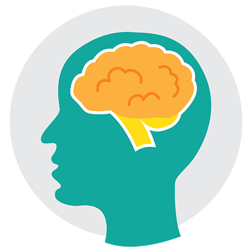 Brain Learning